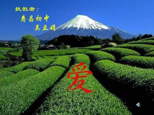 盲孩子和他的影子PPT课件46 人教版 (共17张PPT)