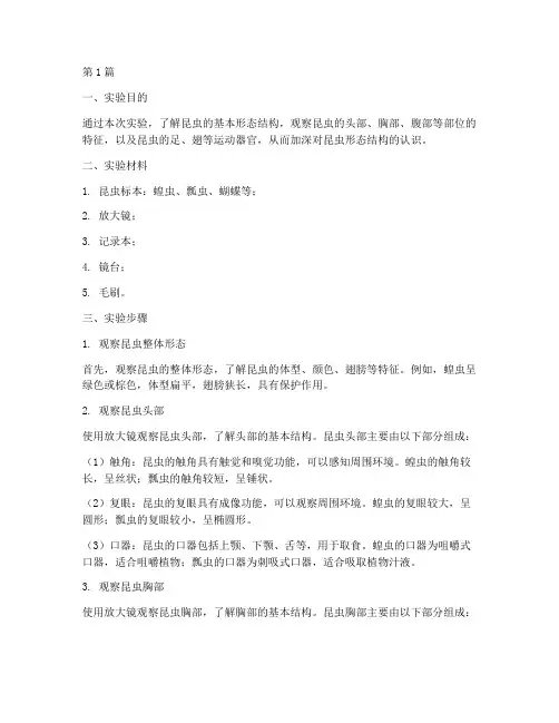 昆虫形态观察实验报告(3篇)
