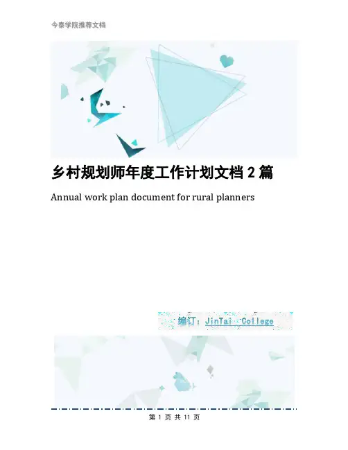 乡村规划师年度工作计划文档2篇