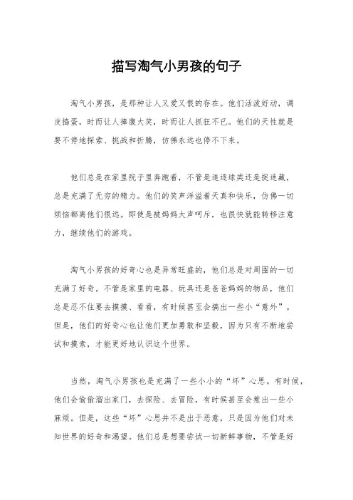 描写淘气小男孩的句子