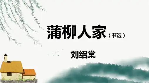 8 蒲柳人家 教学课件(共43张PPT)-初中语文 部编版九年级下册