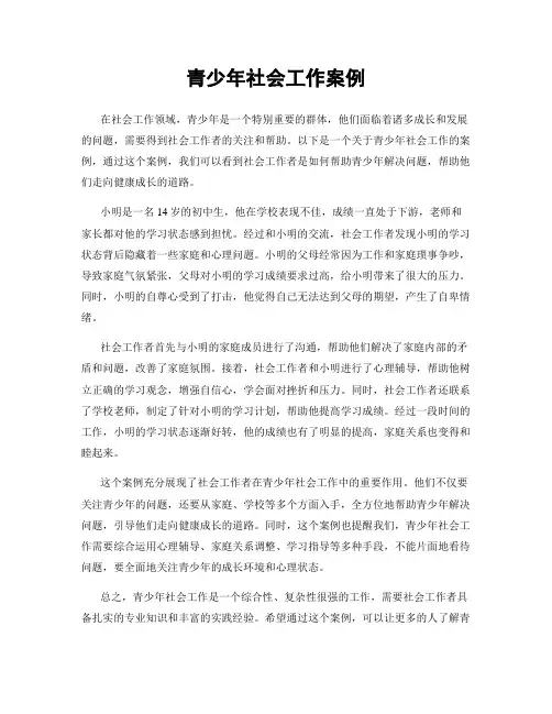 青少年社会工作案例