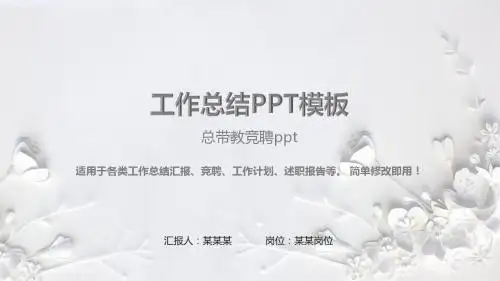 原创PPT-总带教竞聘ppt