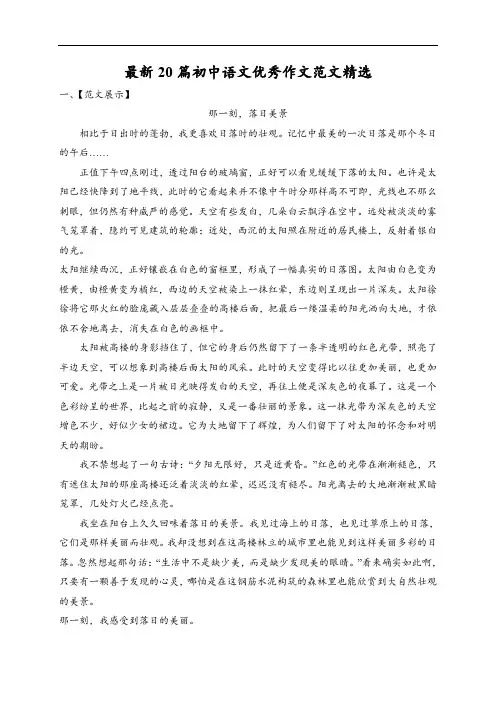 最新2019年中考语文优秀作文范文精选20篇