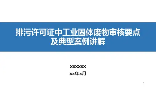 工业固废排污许可审批要点和典型案例讲解(公开版)