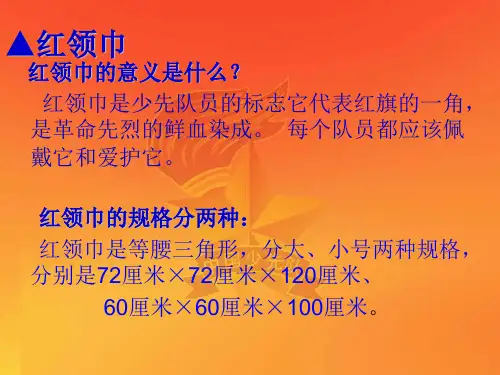 少先队辅导员培训