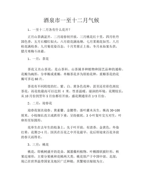 酒泉市一至十二月气候