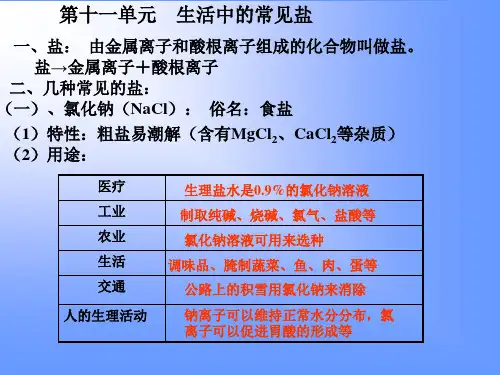 常见的盐