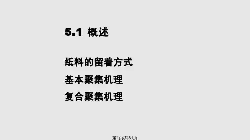 助留剂和助滤PPT课件