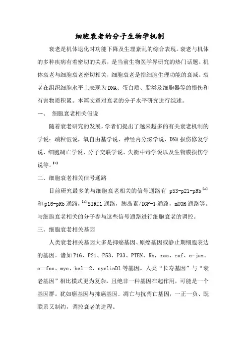细胞衰老的分子生物学机制