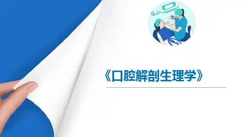 口腔颌面颈部局部解剖—颈部局部解剖(口腔解剖生理学课件)