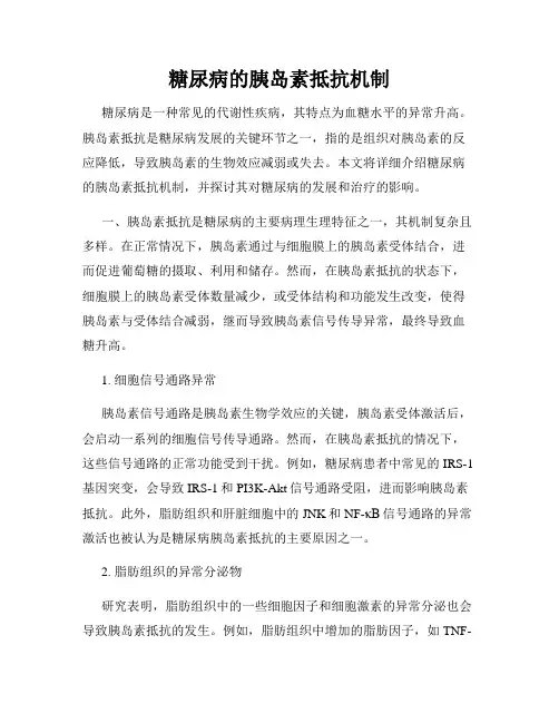 糖尿病的胰岛素抵抗机制
