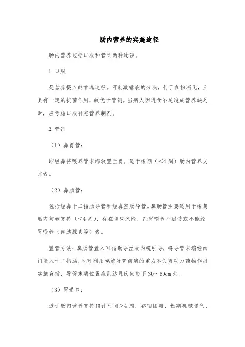 肠内营养的实施途径