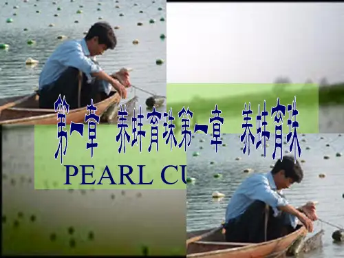 特种水产养殖学无脊椎动物养殖