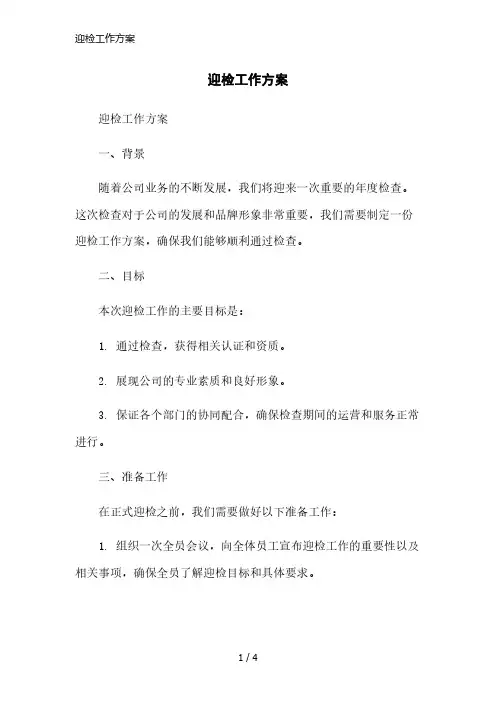 迎检工作方案精简版