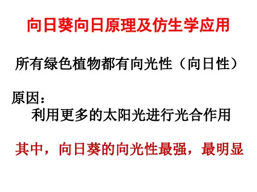 绿色植物的仿生学