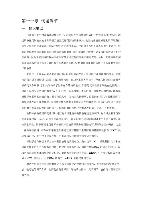 生物化学 物质代谢总结及习题