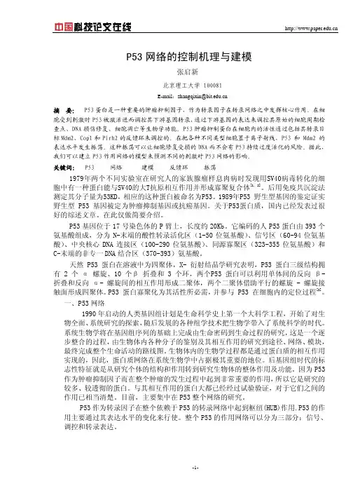 P53网络的控制机理与建模