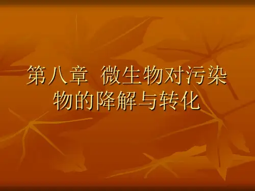 微生物降解污染物的途径