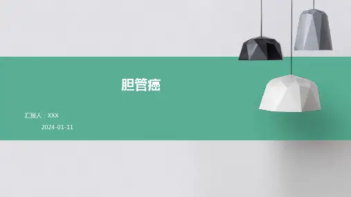 胆管癌PPT演示课件