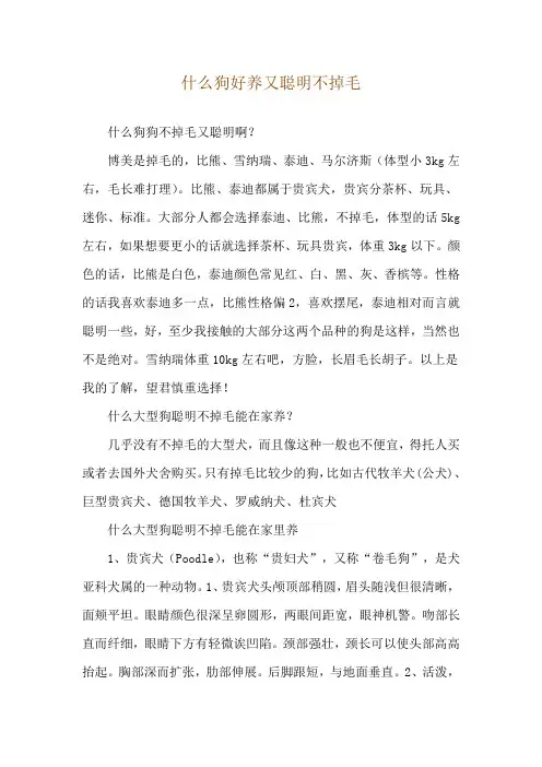 什么狗好养又聪明不掉毛