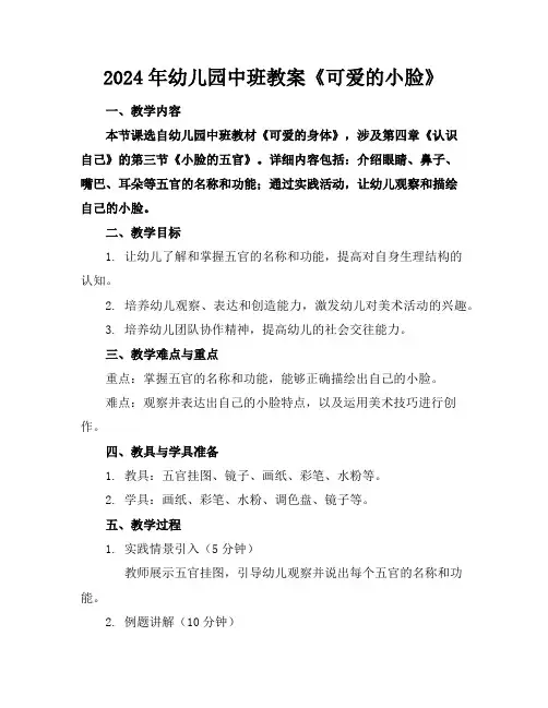 2024年幼儿园中班教案《可爱的小脸》