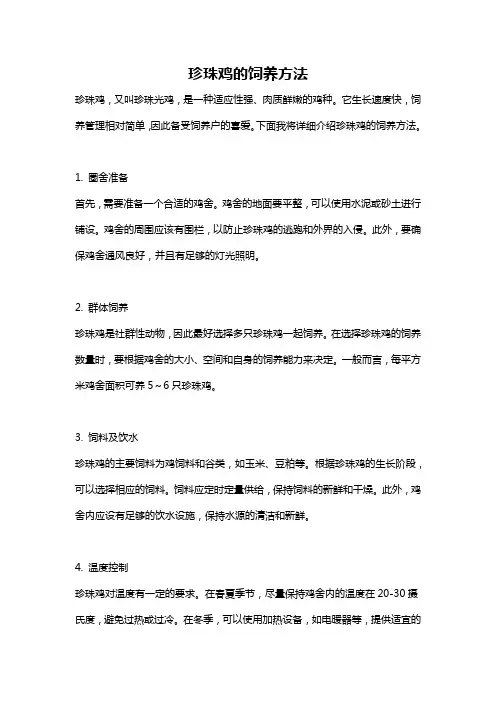 珍珠鸡的饲养方法
