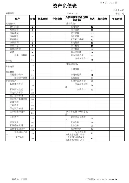 2018年最新版资产负债表
