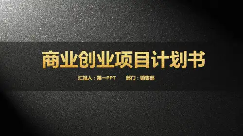 简洁大气黑金商业计划书模板下载PPT