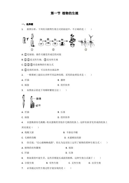 鲁科版-生物-八年级下册- 第一节 植物的生殖 知能优化训练