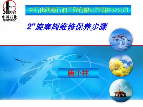 2寸旋塞阀维修保养步骤(a)解析