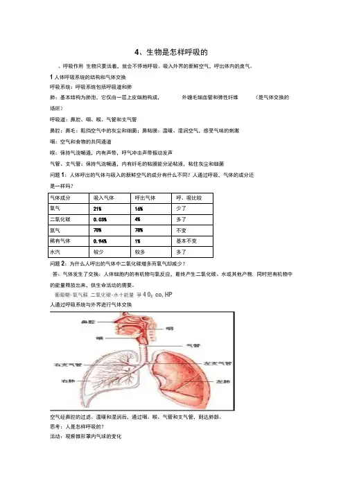 浙教版新教材八年级下册呼吸和呼吸作用超全超实用的教案