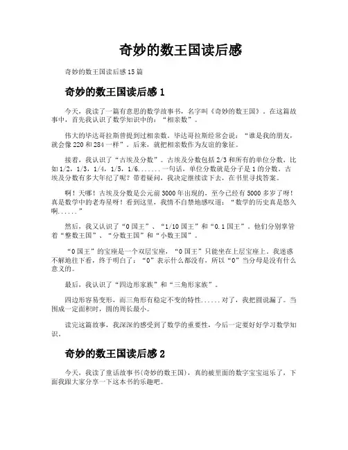 奇妙的数王国读后感