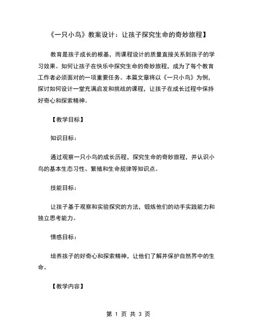 《一只小鸟》教案设计：让孩子探究生命的奇妙旅程