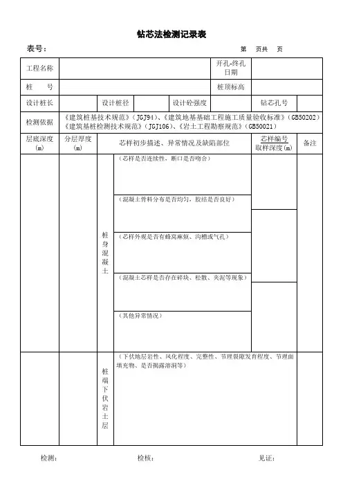 钻芯法检测记录表