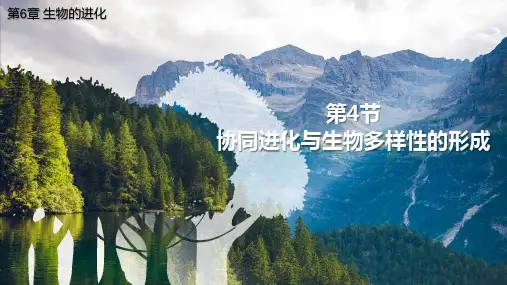 协同进化与生物多样性的形成-高一生物课件(人教版2019必修2)