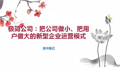 极简公司：把公司做小、把用户做大的新型企业运营模式