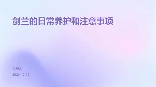 剑兰的日常养护和注意事项