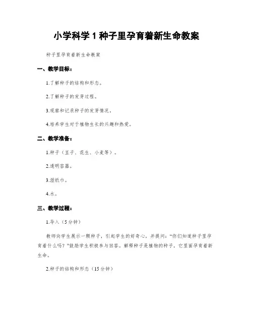小学科学1种子里孕育着新生命教案