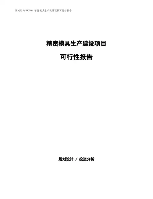 精密模具生产建设项目可行性报告(总投资6911.35万元)