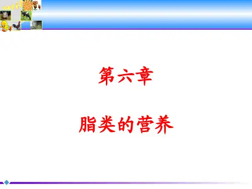 动物营养学：第六章  脂类的营养