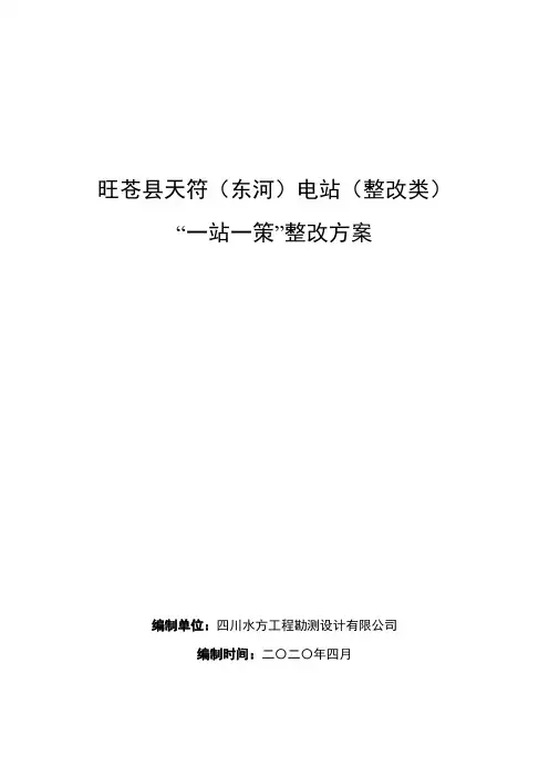 01旺苍县天符(东河)电站“一站一策“整改报告