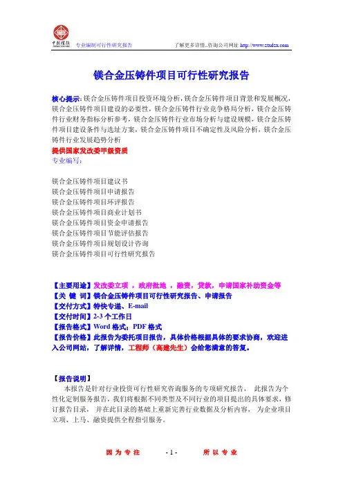 镁合金压铸件项目可行性研究报告