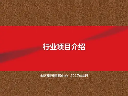 ICT业务简介与政府项目营销