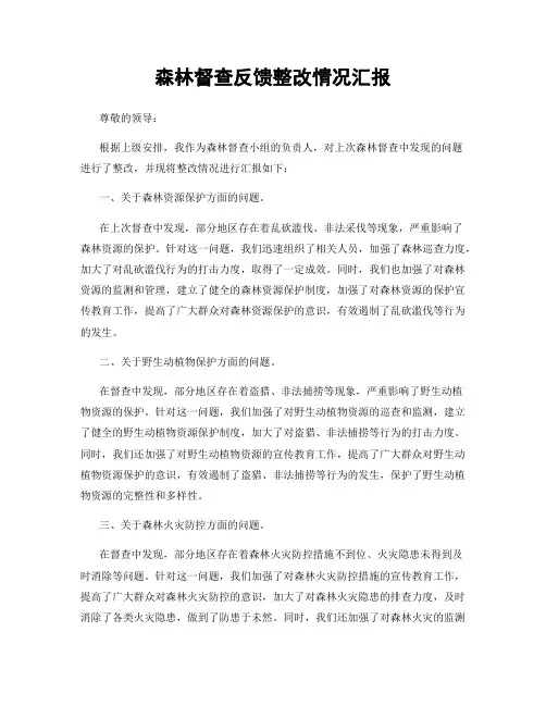 森林督查反馈整改情况汇报