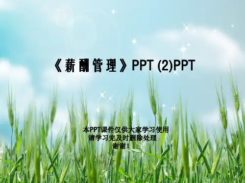 《薪酬管理》PPT (2)PPT