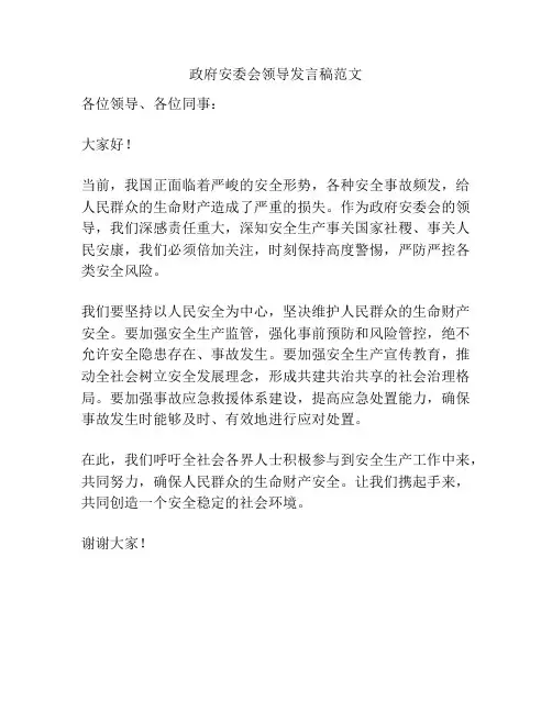 政府安委会领导发言稿范文