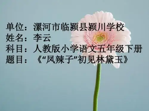 凤辣子初见林黛玉