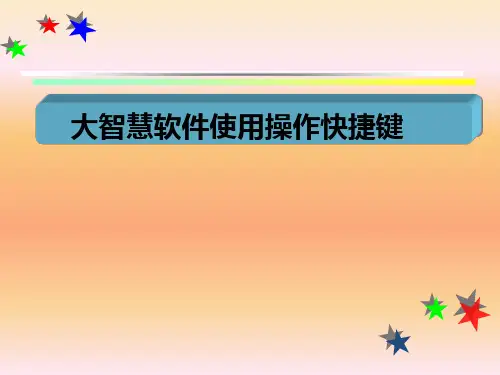 大智慧软件简易操作与常见股票术语PPT精品文档33页