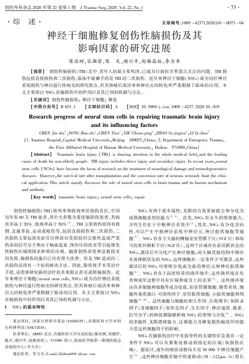 神经干细胞修复创伤性脑损伤及其影响因素的研究进展